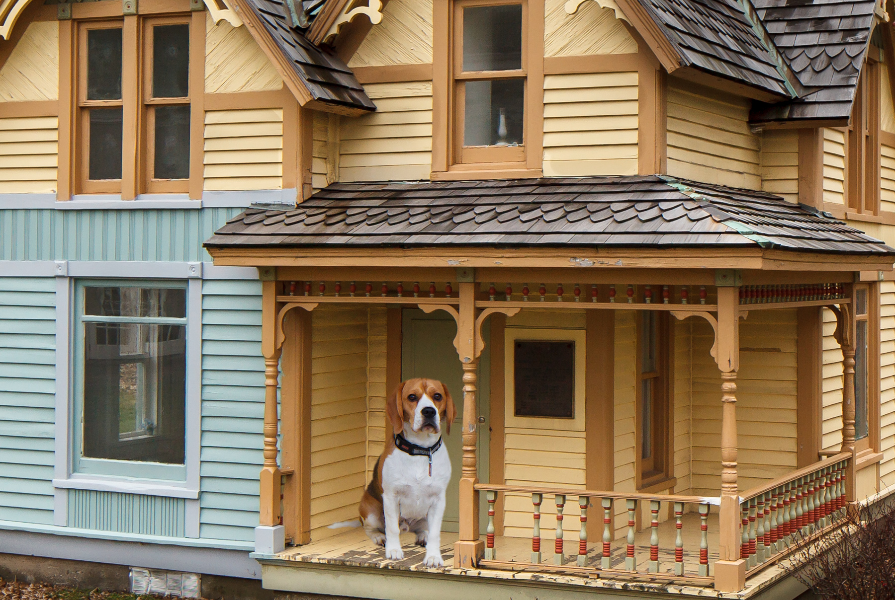 Time to Sell Your Home? Have a Pet? Tips to Help Make That 