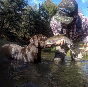 dog and fly fishing
