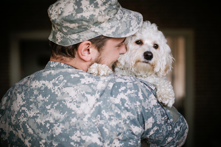 dog and soldier