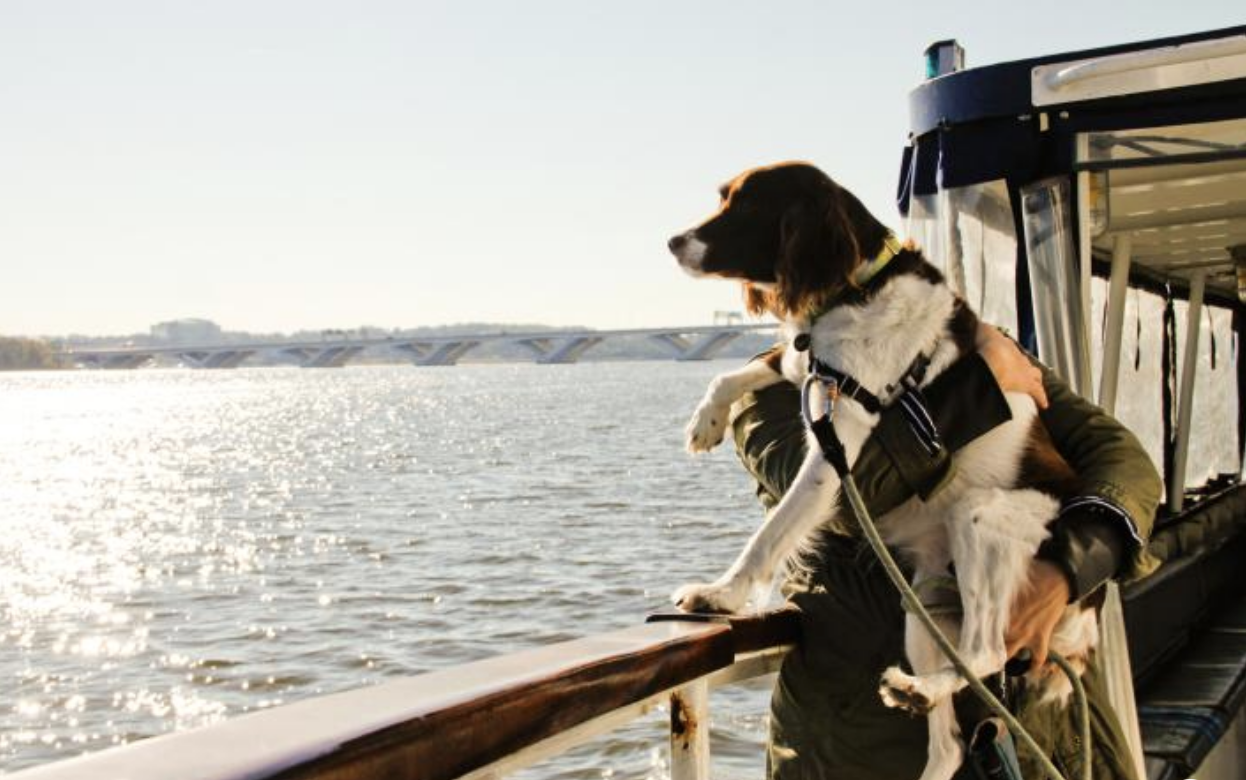 york boat trips dog friendly