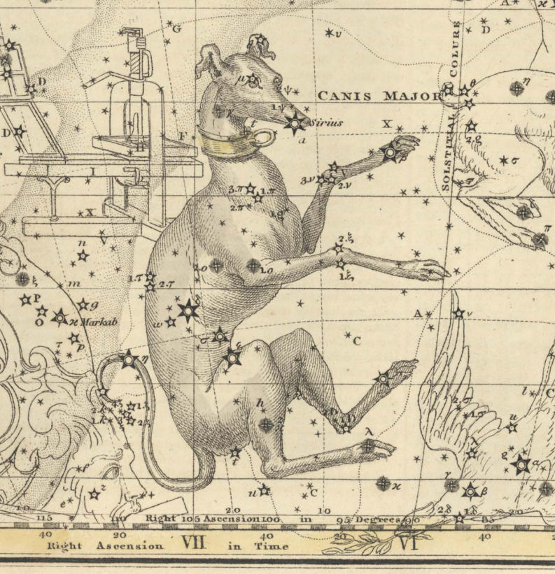 canis major dog constellation