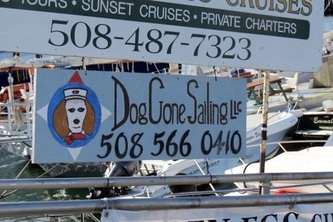 Dog cruise banner