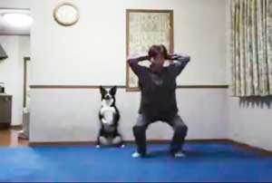 dog doing squats with owner.