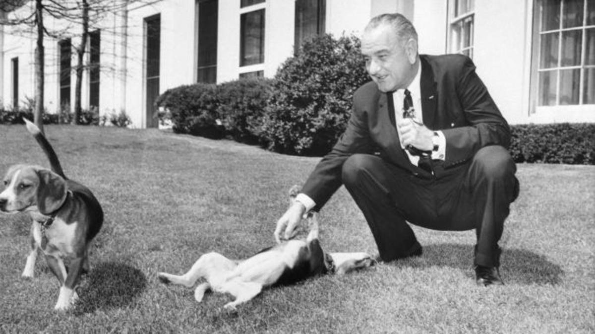 president Johnson with beagles.