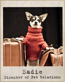 Sadie, director or pet relations