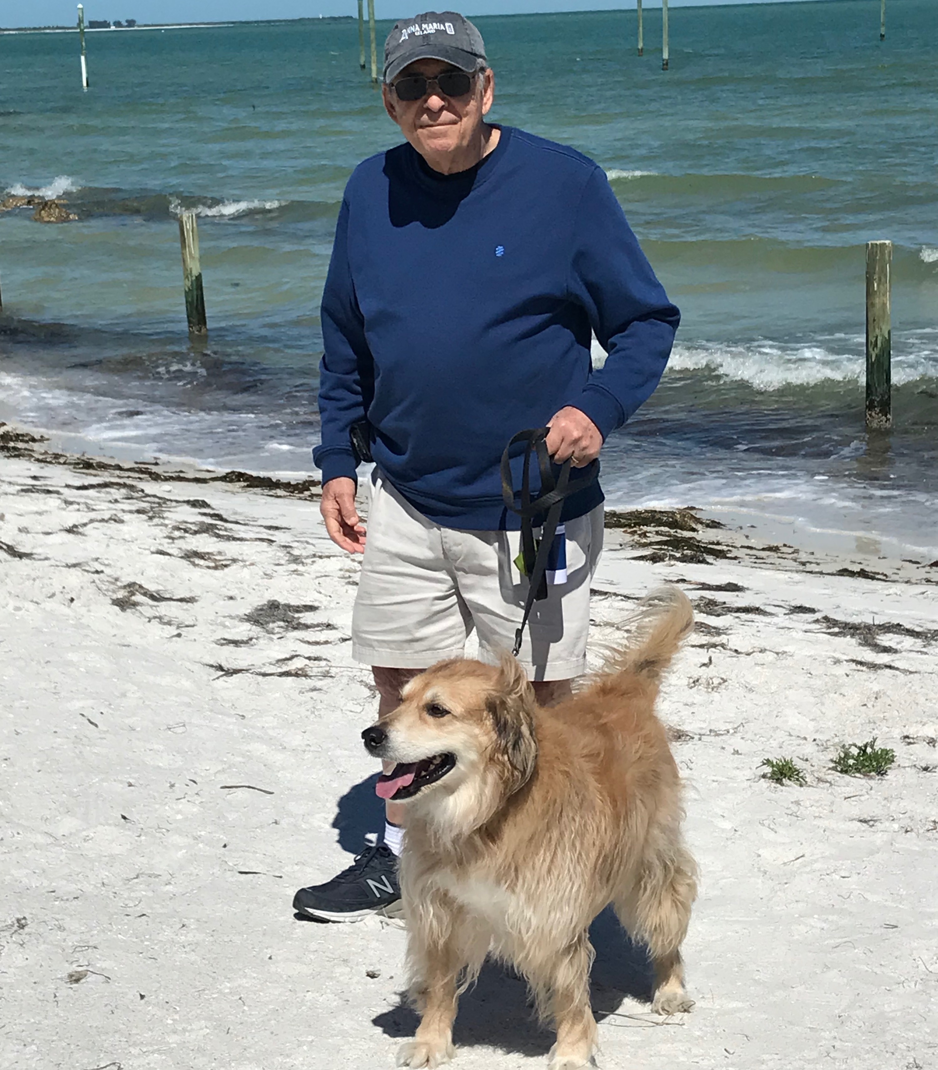 Owner and dog on beach