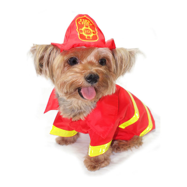 Dog in fireman costume
