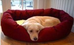 Bagel Dog Bed