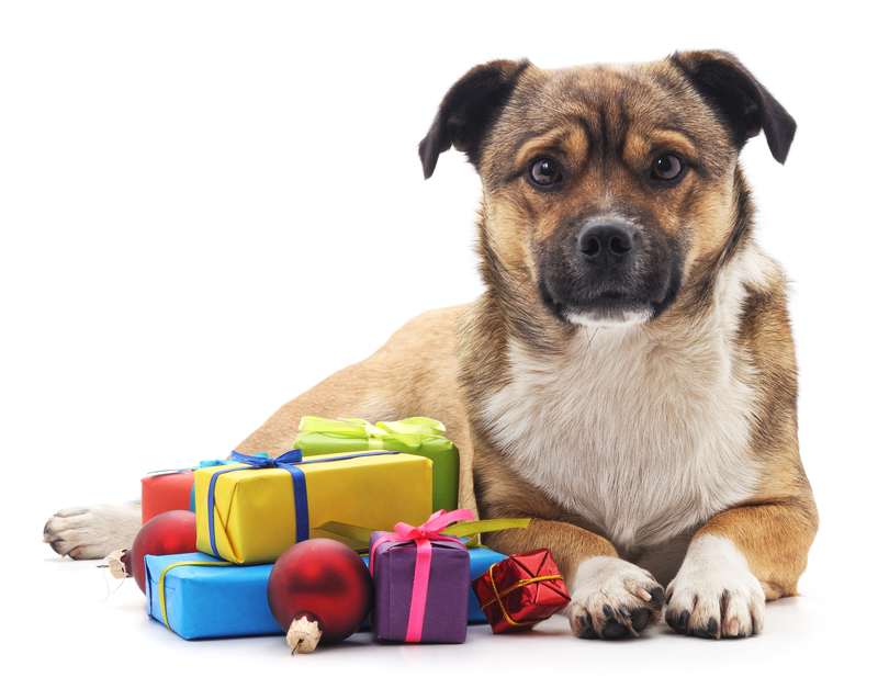 Holiday Gifts For Dog Lovers Petswelcome.Comholiday Gifts For Dog Lovers.