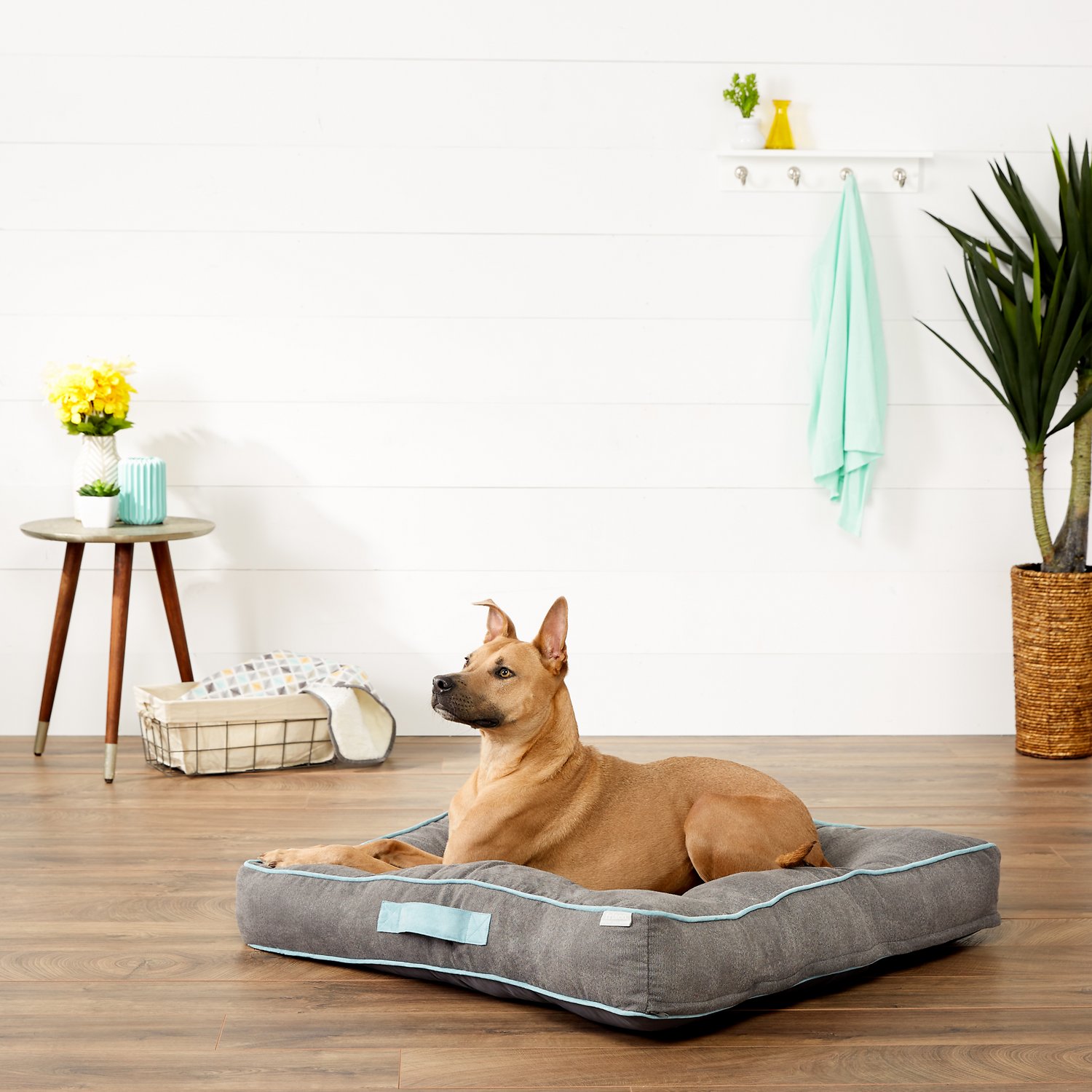 Frisco Tufted Lounge Pet Bed