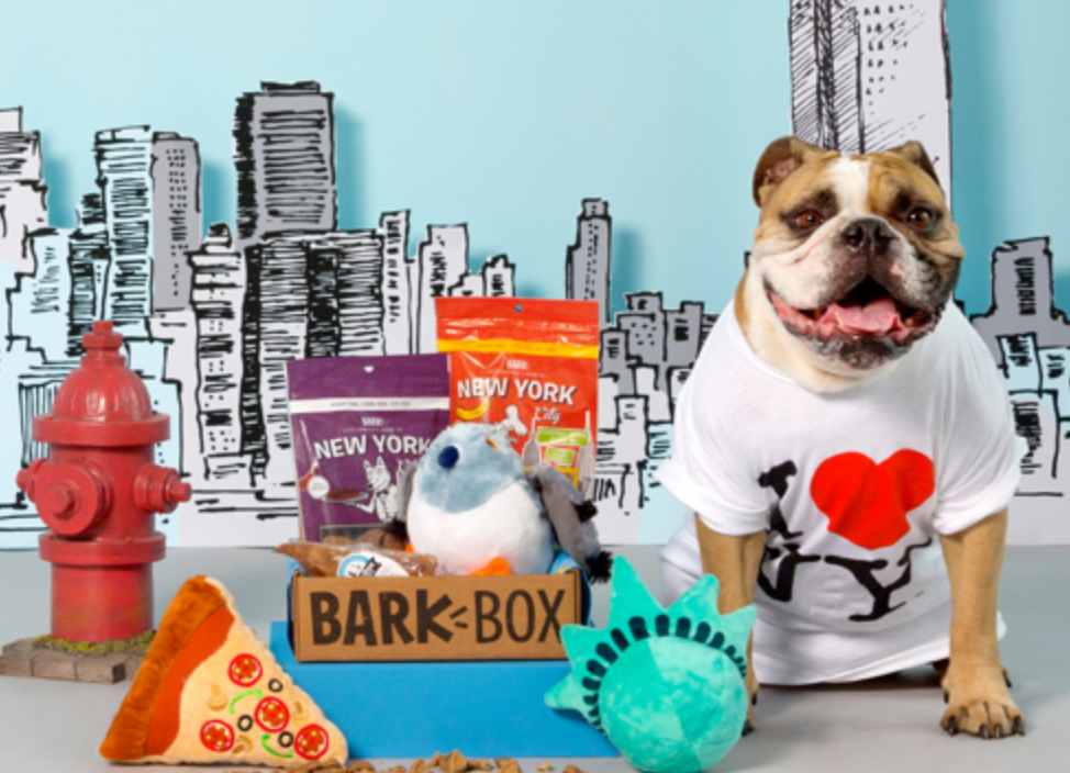 New York City Barkbox Holiday Gift