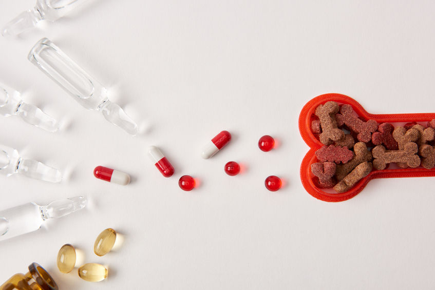 Dog food and medications